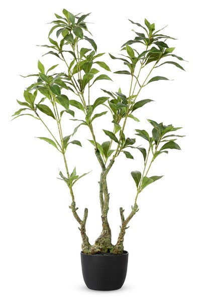 Japanese Pieres Faux Plant - 32 inch