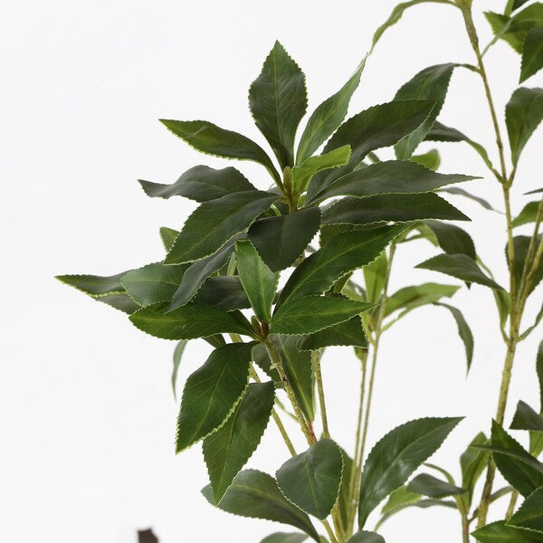Japanese Pieres Faux Plant - 32 inch