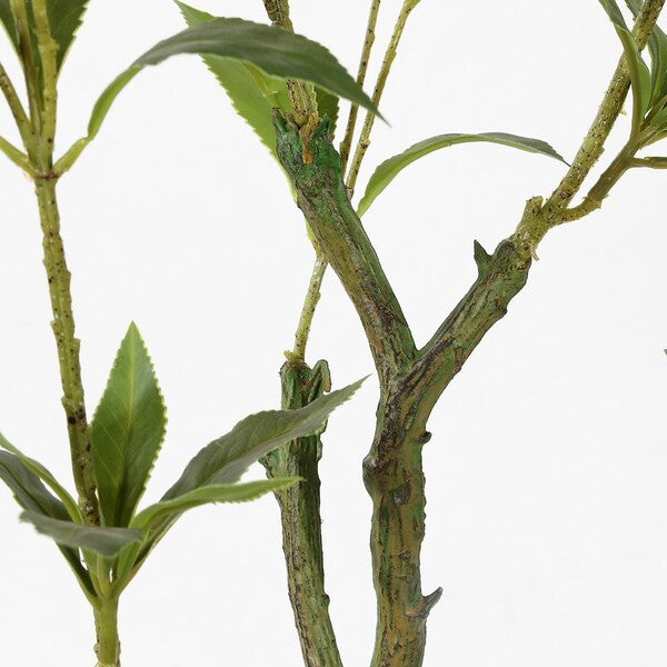 Japanese Pieres Faux Plant - 32 inch
