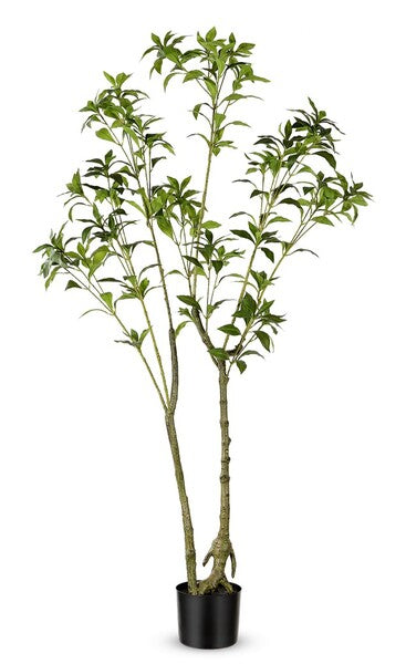 Japanese Pieres Faux Plant - 60 inch