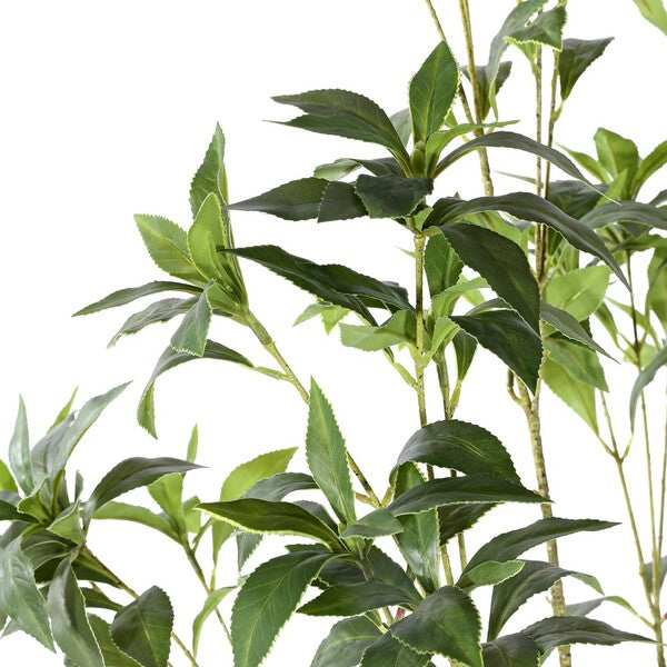Japanese Pieres Faux Plant - 60 inch